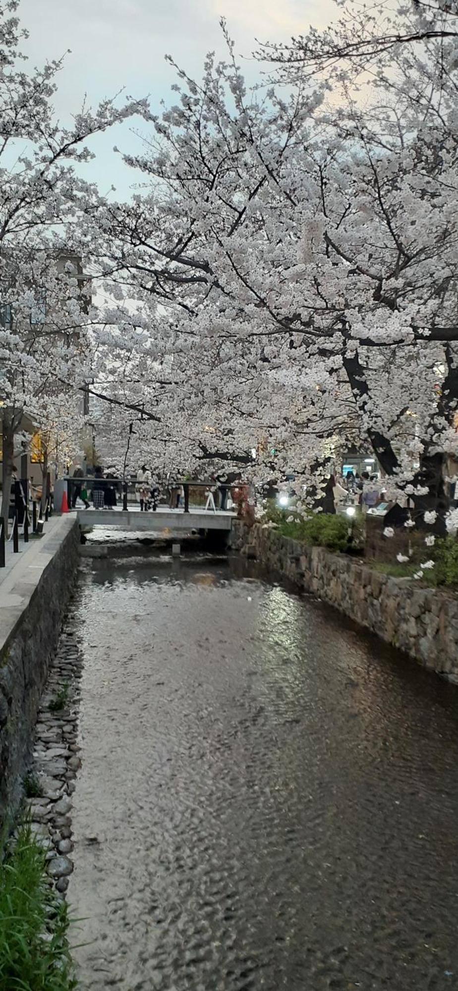 Izutsu Hotel Takasegawa 京都 外观 照片