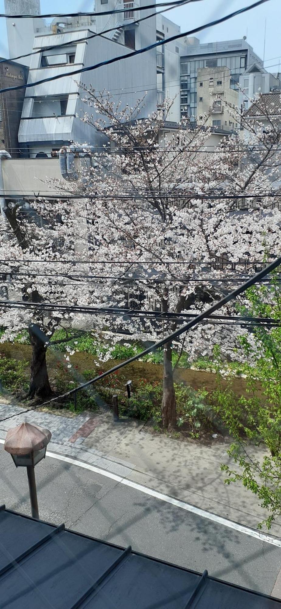 Izutsu Hotel Takasegawa 京都 外观 照片