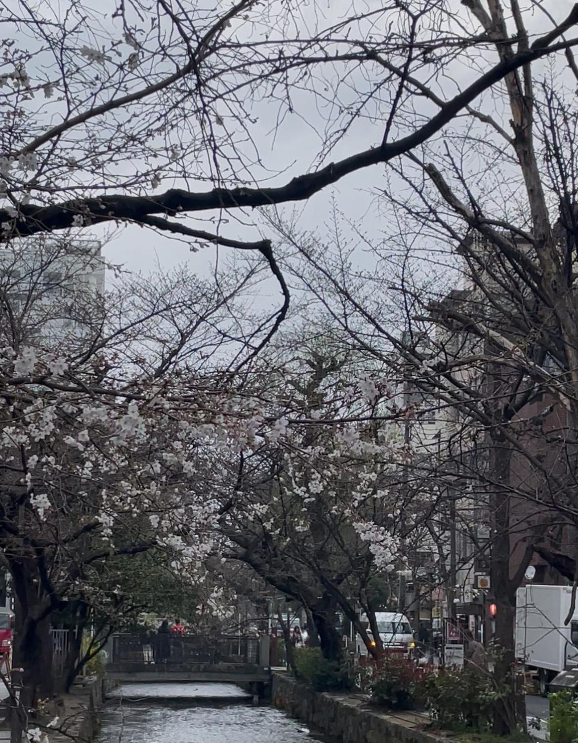 Izutsu Hotel Takasegawa 京都 外观 照片